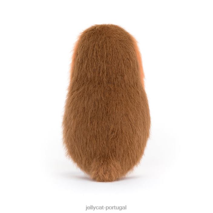 passarinho robin multicor Jellycat 00FBB40 brinquedo