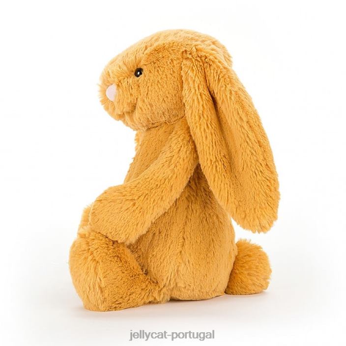 coelhinho tímido bege Jellycat 00FBB10 brinquedo