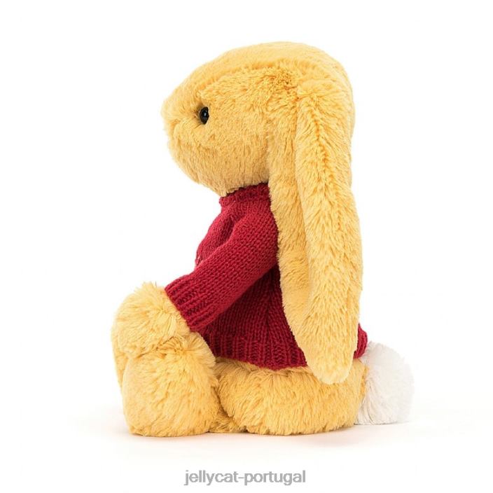 coelhinho tímido com suéter vermelho sol personalizado Jellycat 00FBB332 brinquedo