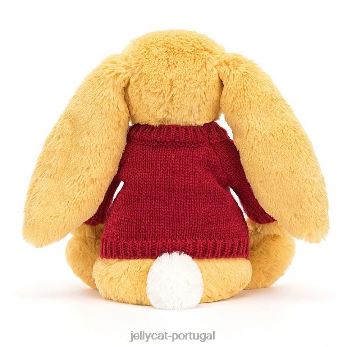 coelhinho tímido com suéter vermelho sol personalizado Jellycat 00FBB332 brinquedo