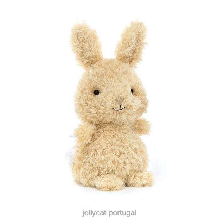 quem posso encontrar o livro e o coelhinho, querido Jellycat 00FBB737 livro